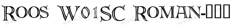 Roos W01SC Roman字体转换